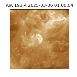 saia - 2025-03-06T01:00:04.843000