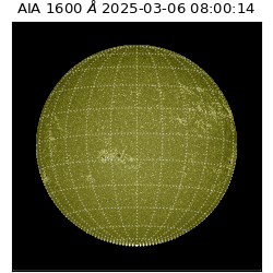 saia - 2025-03-06T08:00:14.129000