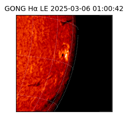 gong - 2025-03-06T01:00:42