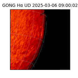 gong - 2025-03-06T09:00:02
