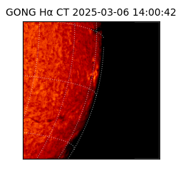 gong - 2025-03-06T14:00:42