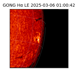 gong - 2025-03-06T01:00:42