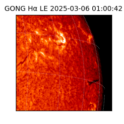 gong - 2025-03-06T01:00:42
