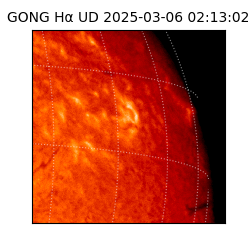gong - 2025-03-06T02:13:02