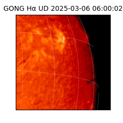 gong - 2025-03-06T06:00:02