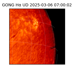 gong - 2025-03-06T07:00:02