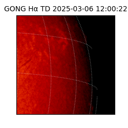 gong - 2025-03-06T12:00:22