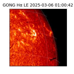 gong - 2025-03-06T01:00:42
