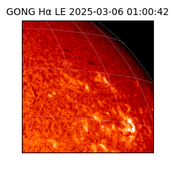 gong - 2025-03-06T01:00:42