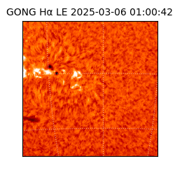 gong - 2025-03-06T01:00:42
