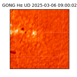 gong - 2025-03-06T09:00:02