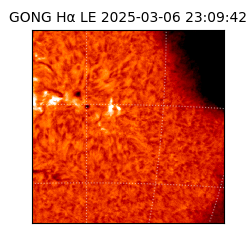 gong - 2025-03-06T23:09:42