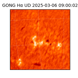 gong - 2025-03-06T09:00:02