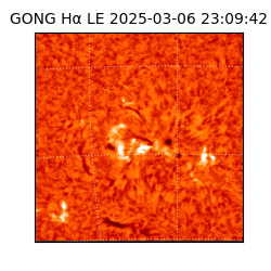 gong - 2025-03-06T23:09:42