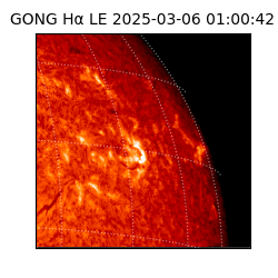 gong - 2025-03-06T01:00:42