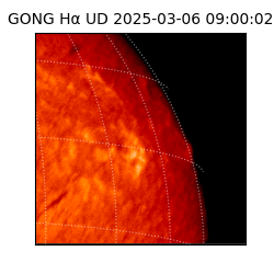 gong - 2025-03-06T09:00:02