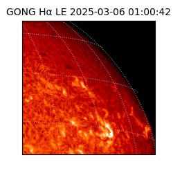 gong - 2025-03-06T01:00:42