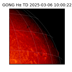 gong - 2025-03-06T10:00:22