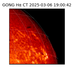 gong - 2025-03-06T19:00:42