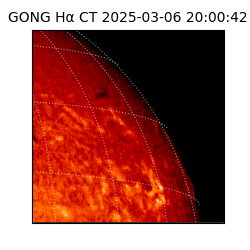 gong - 2025-03-06T20:00:42
