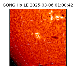 gong - 2025-03-06T01:00:42