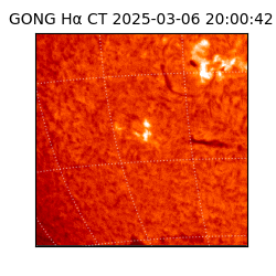 gong - 2025-03-06T20:00:42