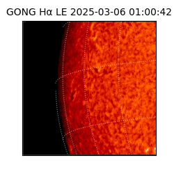 gong - 2025-03-06T01:00:42