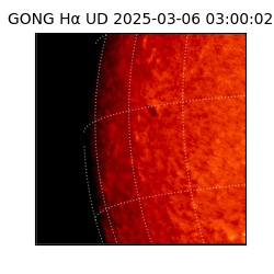 gong - 2025-03-06T03:00:02