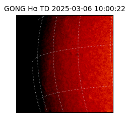 gong - 2025-03-06T10:00:22