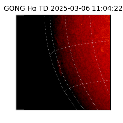gong - 2025-03-06T11:04:22
