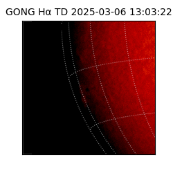 gong - 2025-03-06T13:03:22