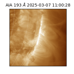 saia - 2025-03-07T11:00:28.842000