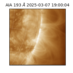 saia - 2025-03-07T19:00:04.843000