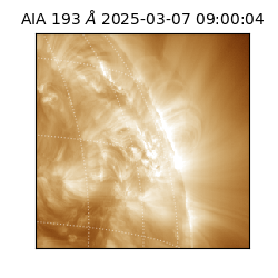 saia - 2025-03-07T09:00:04.846000