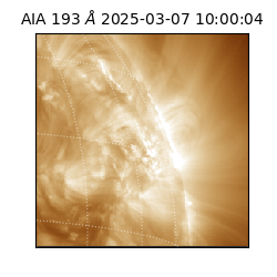 saia - 2025-03-07T10:00:04.845000