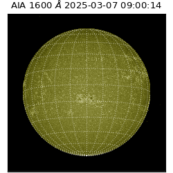 saia - 2025-03-07T09:00:14.126000