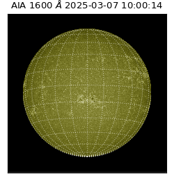 saia - 2025-03-07T10:00:14.125000