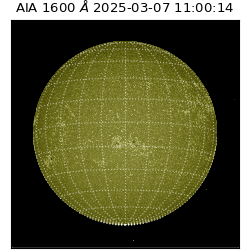 saia - 2025-03-07T11:00:14.126000