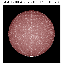 saia - 2025-03-07T11:00:28.717000