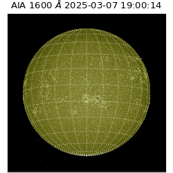 saia - 2025-03-07T19:00:14.126000
