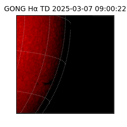 gong - 2025-03-07T09:00:22