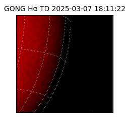 gong - 2025-03-07T18:11:22