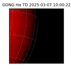 gong - 2025-03-07T10:00:22