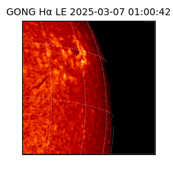 gong - 2025-03-07T01:00:42