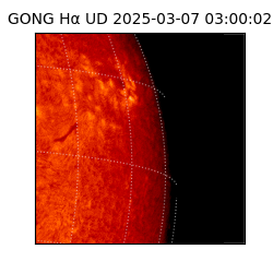 gong - 2025-03-07T03:00:02