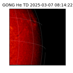 gong - 2025-03-07T08:14:22