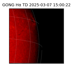 gong - 2025-03-07T15:00:22