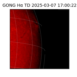 gong - 2025-03-07T17:00:22