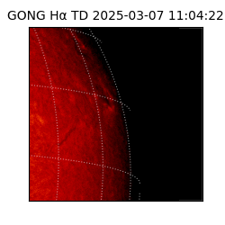 gong - 2025-03-07T11:04:22