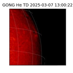 gong - 2025-03-07T13:00:22